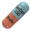 Mycophenolate Mofetil